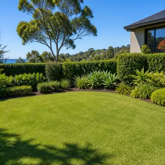 Cleaned up area after palm tree removal in a Mount Eliza garden