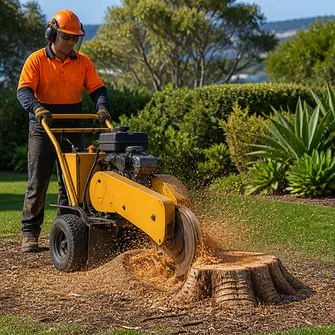 Stump grinding after palm tree removal