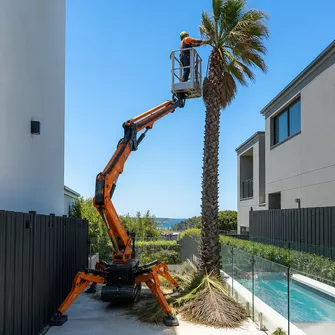 Specialized equipment used for palm tree removal in tight spaces
