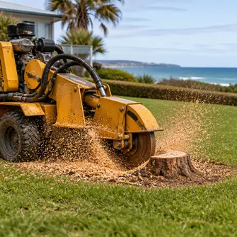 Palm tree stump being ground down by a stump grinder, creating wood chips on a residential property in Safety Beach