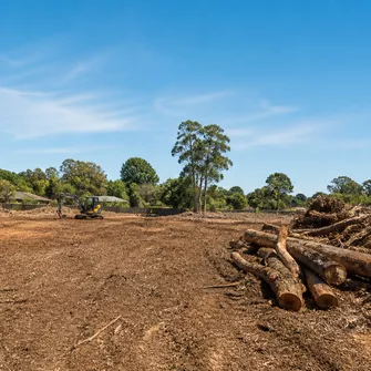 Land clearing Frankston