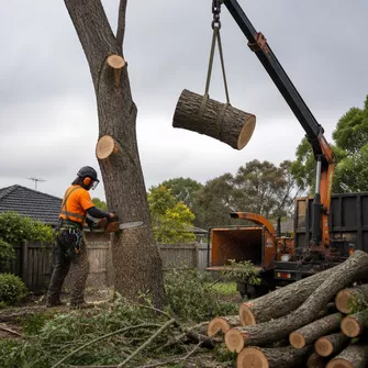 Stump grinding after tree removal in Skye