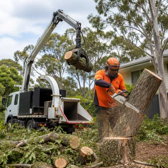 Palm tree removal in Somerville, VIC
