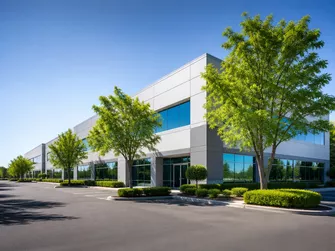 Commercial Tree Management