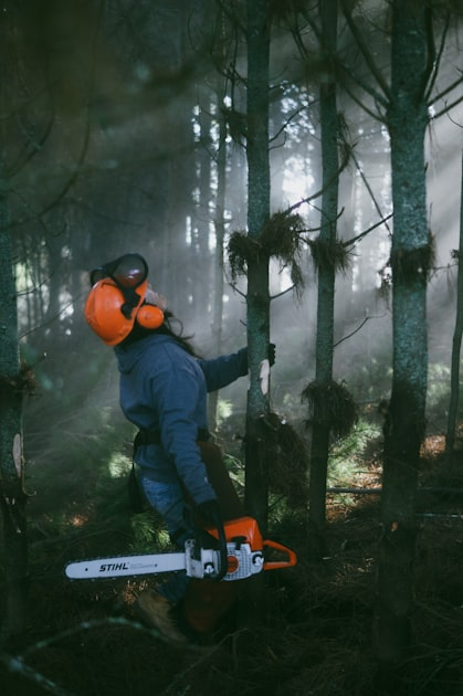 The Process of Tree Dismantling